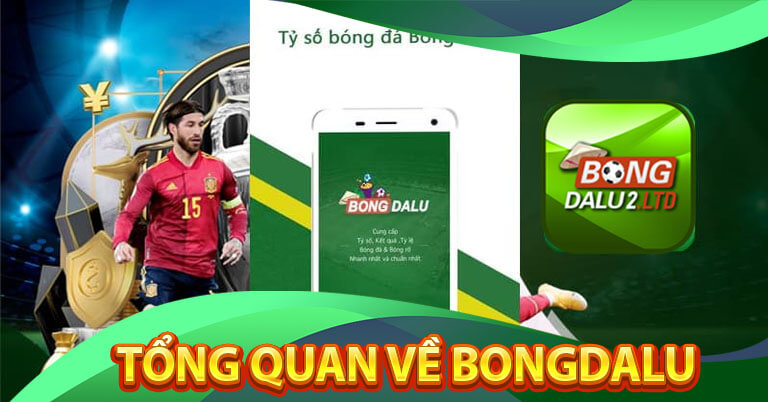 Tìm hiểu sơ lược về kênh thể thao Bongdalu