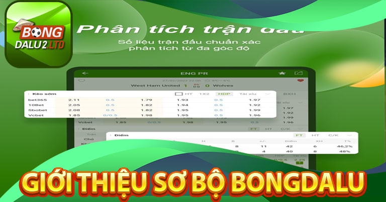 Sơ bộ chung Giới thiệu bongdalu trang thể thao uy tín