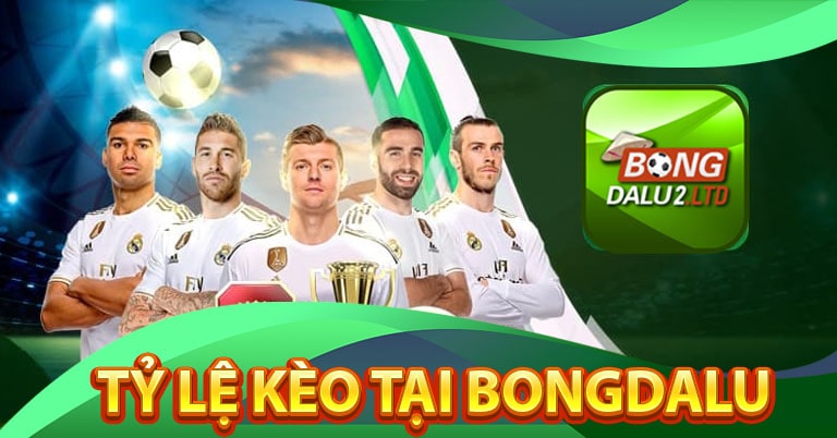 Tỷ lệ bóng đá, tỷ lệ kèo bongdalu cung cấp cho người dùng