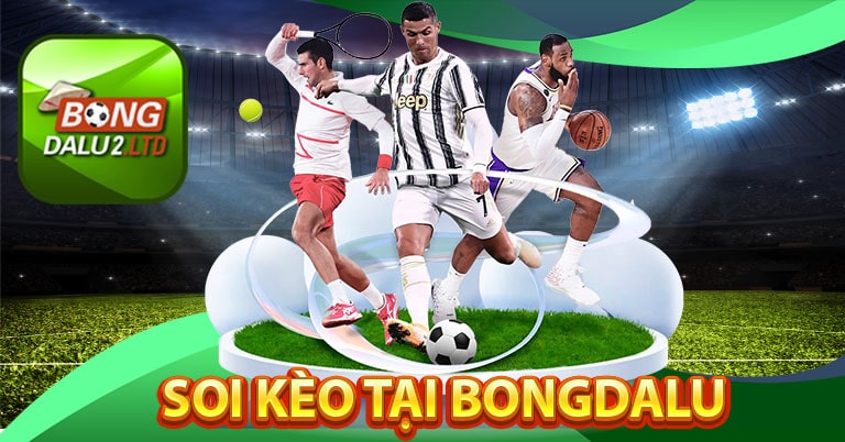 Soi kèo tại bongdalu