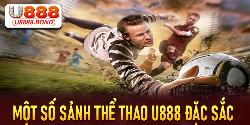 Tổng hợp một số sảnh thể thao U888 đặc sắc